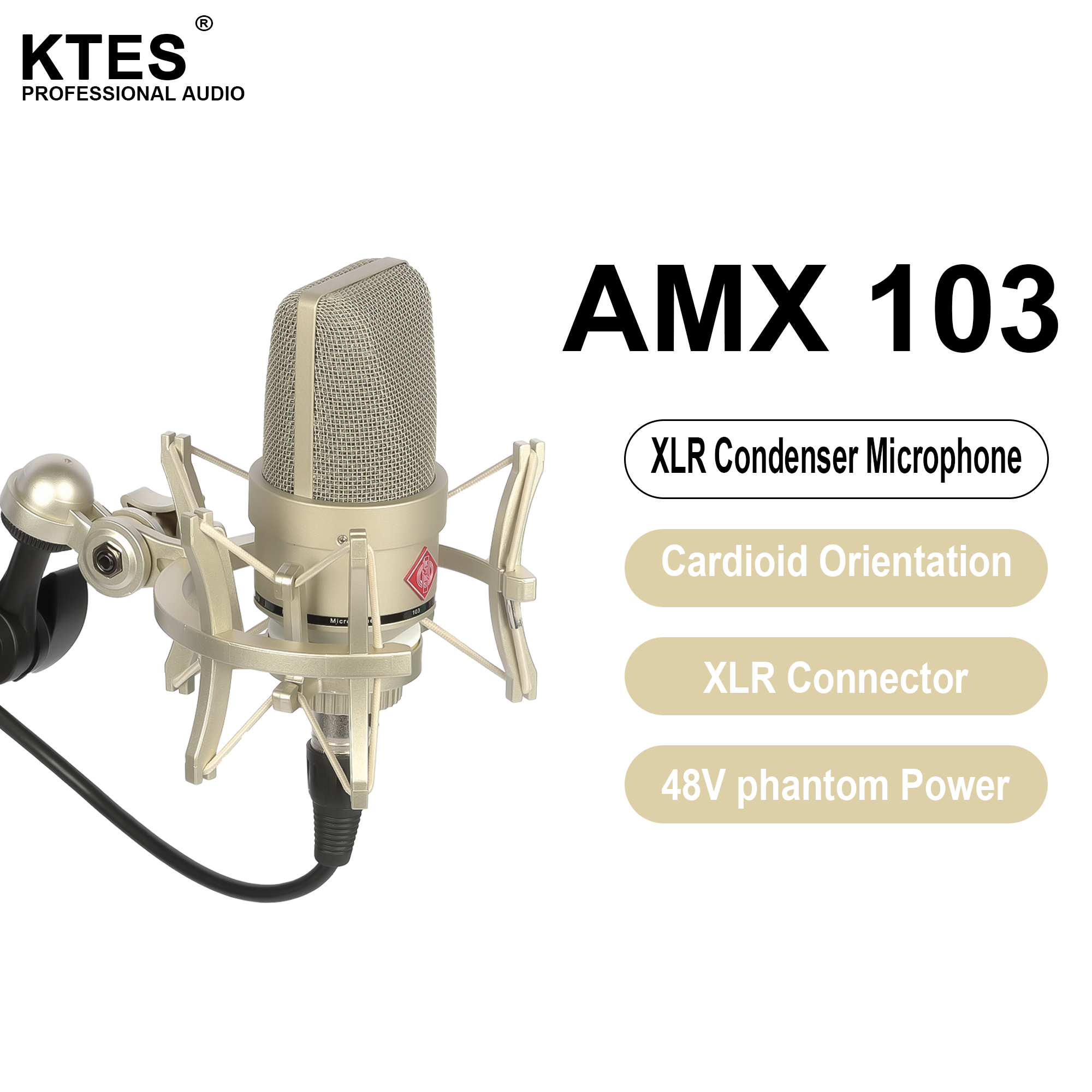 AMX 103 XLR Condenser Microphone 48V Phantom Power Mic for Audio Interface Mixer