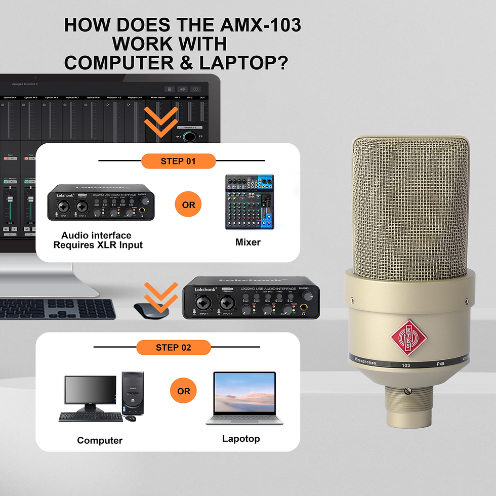 Miniatura: AMX 103 XLR Condenser Microphone 48V Phantom Power Mic for Audio Interface Mixer
