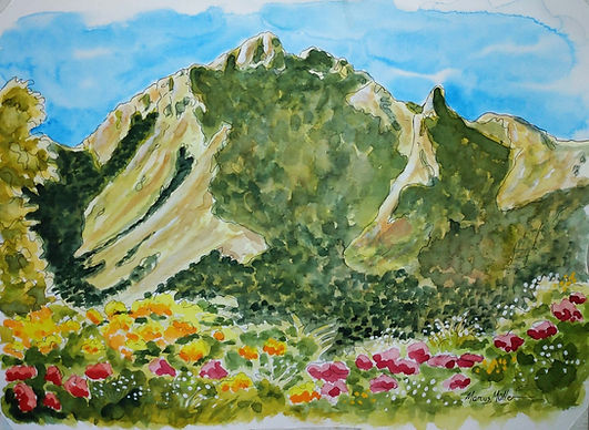Serra da Mantiqueira I