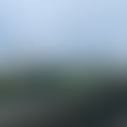 Northern Virginia Office Tenants Have More Leverage Than They Realize Right Now