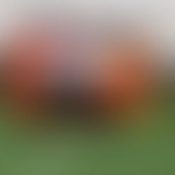 ⚽ Футбол дарує емоції – а цього разу ще й перемоги!