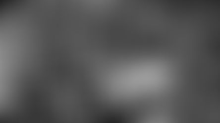 Honduras Seçimleri: ABD Şaibeli Sonuçları Tanıdı