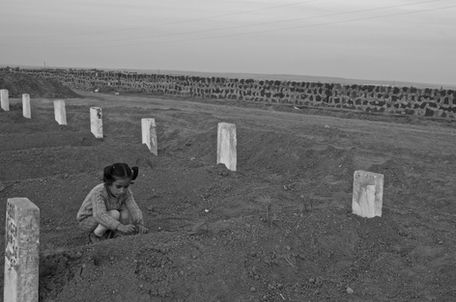 Antep: Kuş Cıvıltılarını Yeniden Duymak