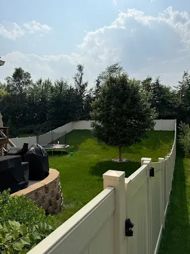 yard nice yet again.webp