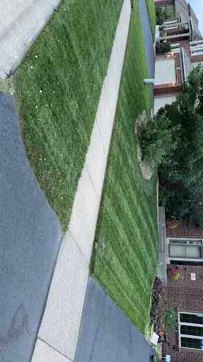 chris yard nice.webp