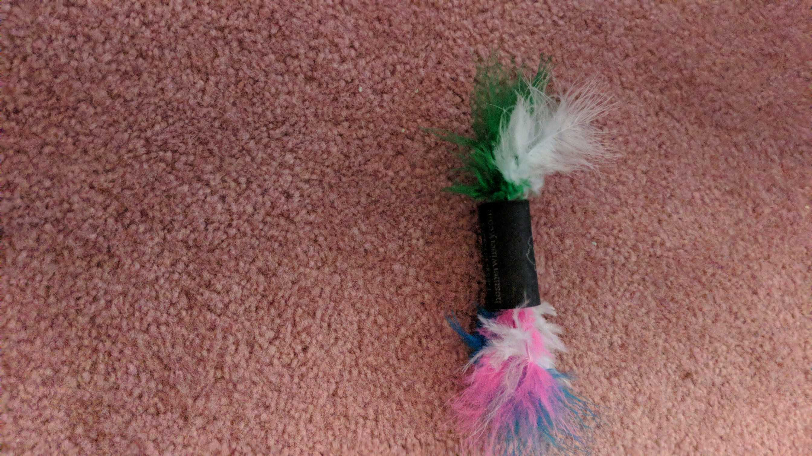 Homeade feather cat toy