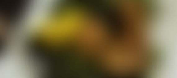 Mama's Cafe Baci Meetup in Hackettstown, NJ 2/23/18