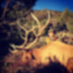 2015-09-25 08.05.52-1