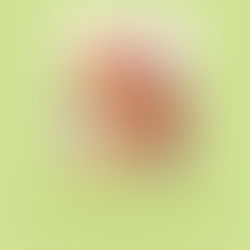Colors in Similar Tones