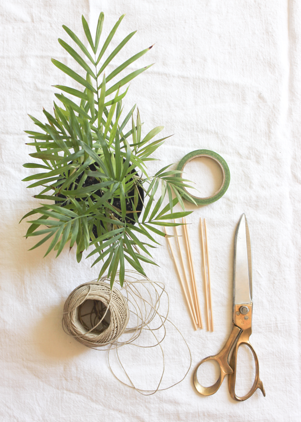 DIY palm leaf sticks supplies