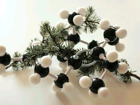 Comparative analysis of hydrogen investments in south east asia