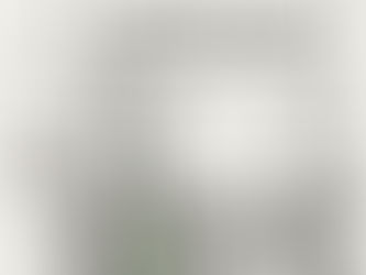 On Sustainability, Strategy, and Change