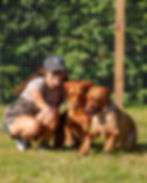 Holly founder of Project Better Dog providing Pet Services to two dogs in Norwich Norfolk