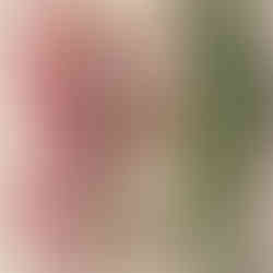 Product photography by Eleanor Santos at Visualise Brands