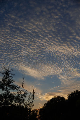 250825 Wabeke 409A0410.jpg