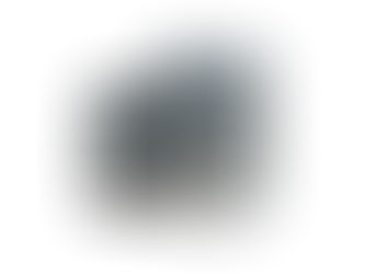 SARC is proud to announce our latest publication