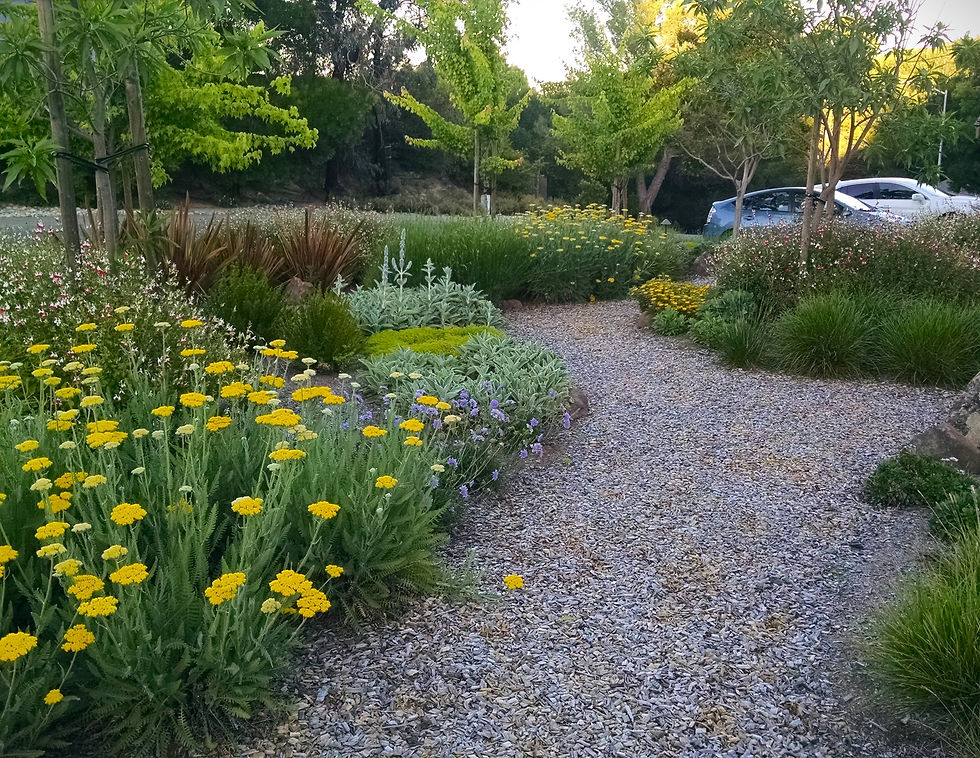 IMG_20180511_193202902