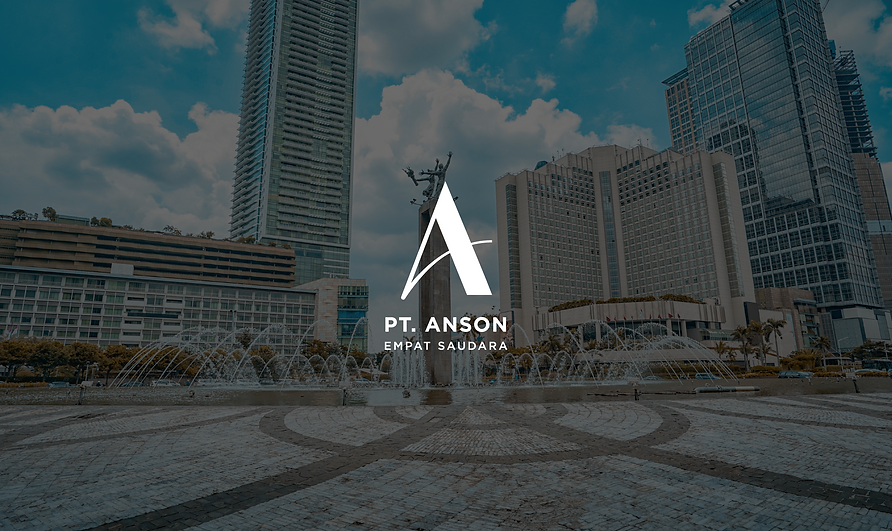 ANSON presentation (2nd revision branding)-12.png