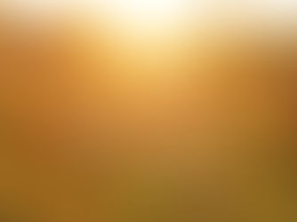 Contemplation Lab: Schedule & Resources 