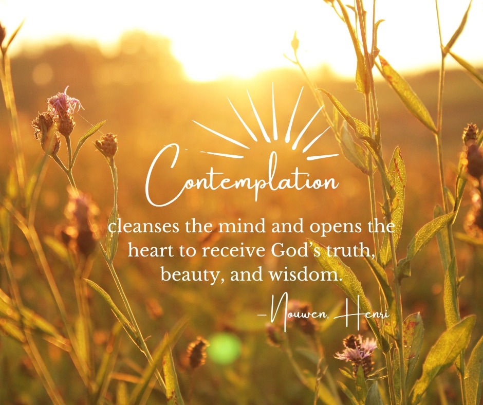 Contemplation Lab: Schedule & Resources 