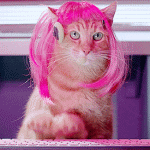 giphy (52).gif