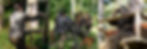 Digicam-Banner.jpg