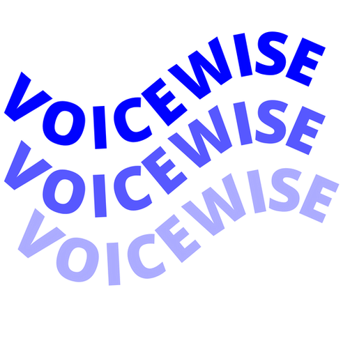 VoiceWise Curved Text for background.png