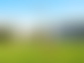 The future of jobs for today’s students