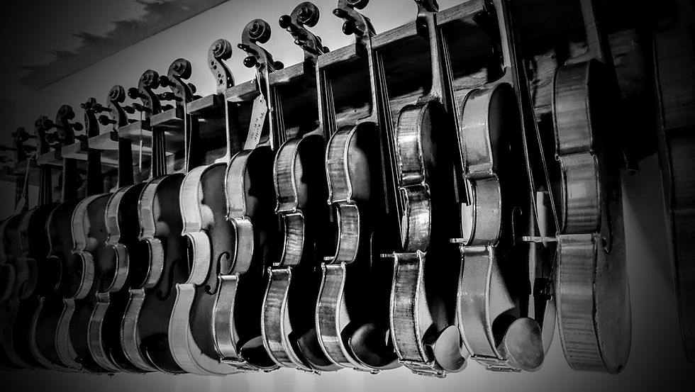 BW violins