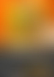 Exposition Joël Nankin