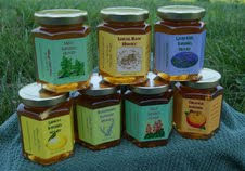 Welcome to Our Website