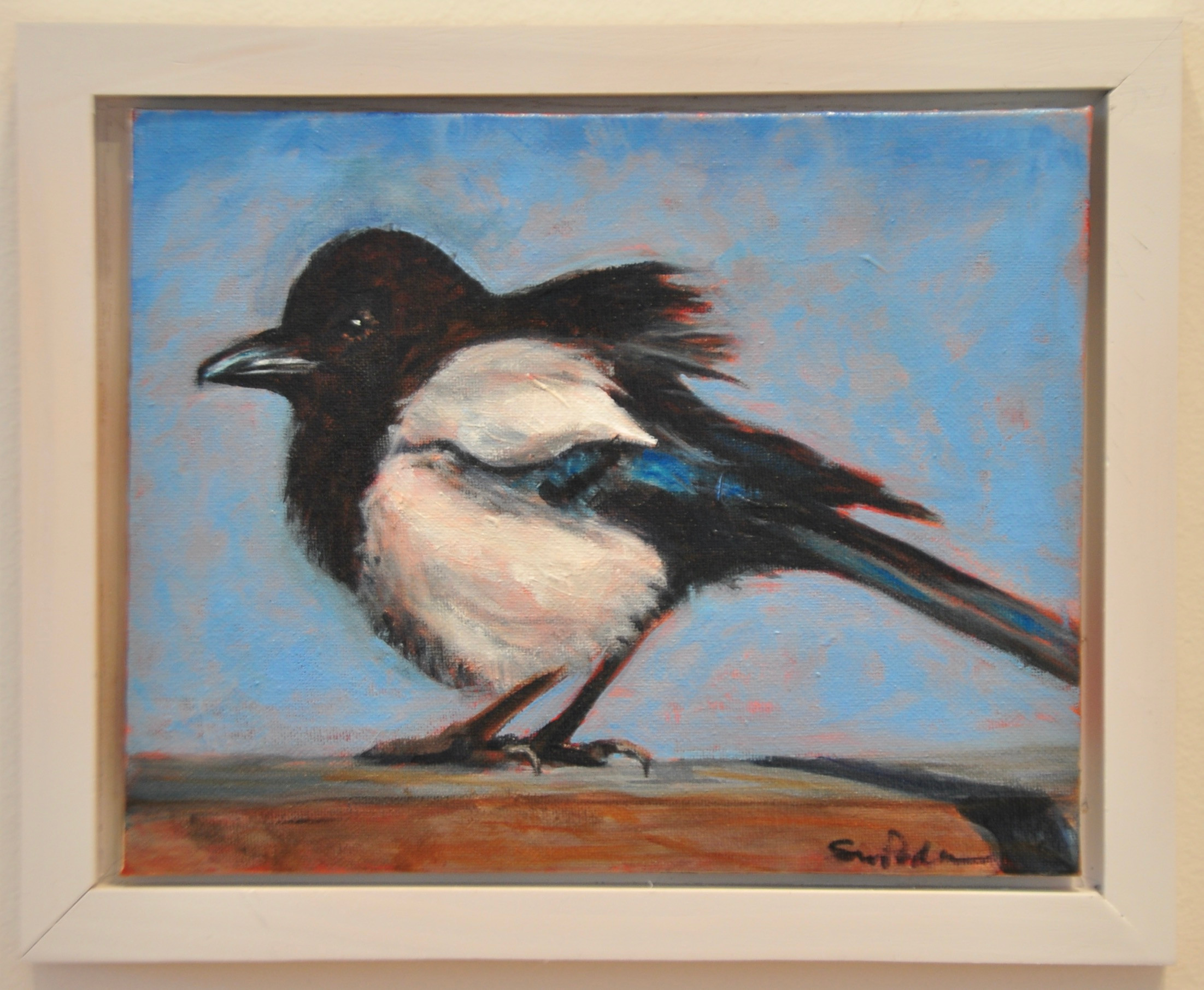 Wild Life #7 - Magpie