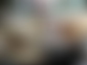 More Than a Dinner — A Private Experience in Punta Mita, Sayulita & Puerto Vallarta