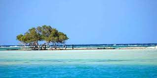 Excursions in Marsa Alam