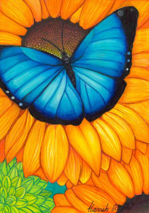 Thumbnail: Butterfly Note Cards
