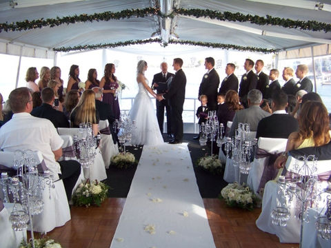 wedding event cat.jpg