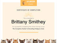 Certificate of completion