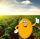 311118277_223832153300124_7795390878868303334_n.png__nc_cat=106&ccb=1-7&_nc_sid=efb6e6&_nc