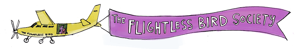 FBS_NEW Plane Banner.png