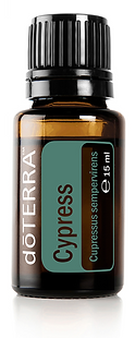 cypress-15ml_800x.png