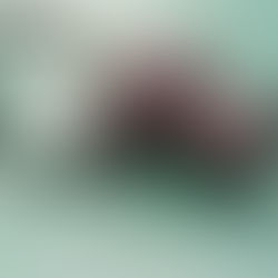 写真部 活動報告５