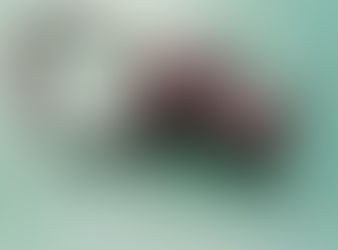 写真部 活動報告１３