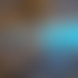 恋活パーティーの開催