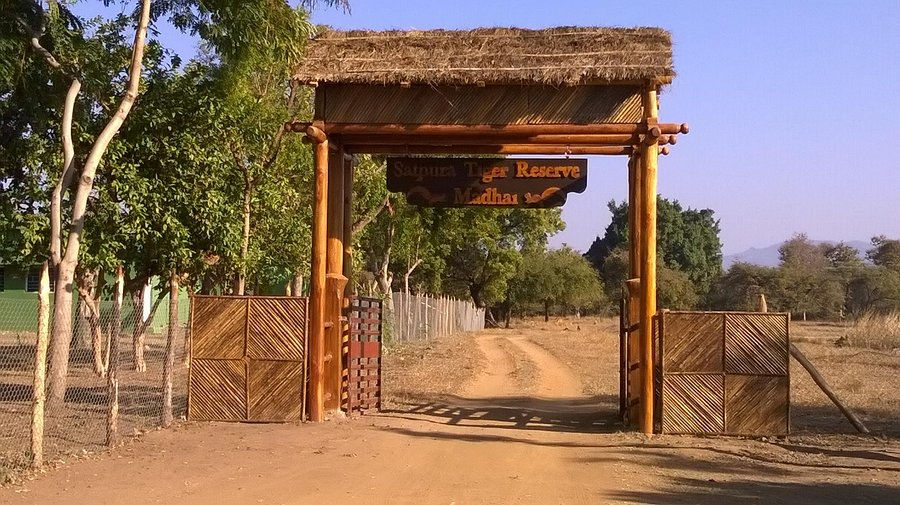 Entrance gate to Satpura Tiger Reserve in a rural setting with trees and a dirt path. Sign reads "Satpura Tiger Reserve, Madhai."