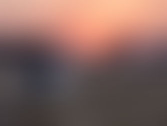  African safari elephants at sunset on the savanna — safari cost from India 2026