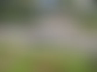 Universidad Central del Ecuador abre inscripciones para el proceso de admisión 2026