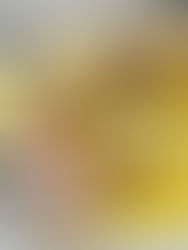 LEMON CURD (ZITRONENCREME)