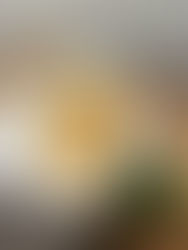 CREVETTEN-LIMETTEN SPAGHETTI