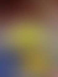 BROKKOLI-HÄHNCHEN FARFALLE