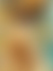 ANANAS CREVETTEN SPIESSE